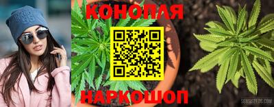 Альфа ПВП Будённовск
