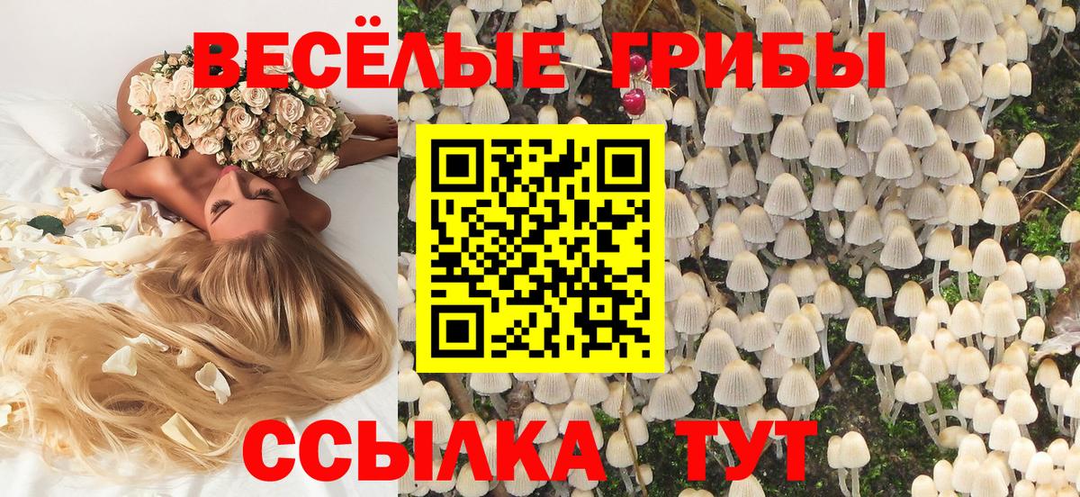Псилоцибиновые грибы мицелий Рузаевка